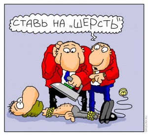 Шерсть Шерсть